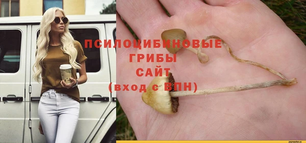 ГАЛЛЮЦИНОГЕННЫЕ ГРИБЫ Верхний Тагил