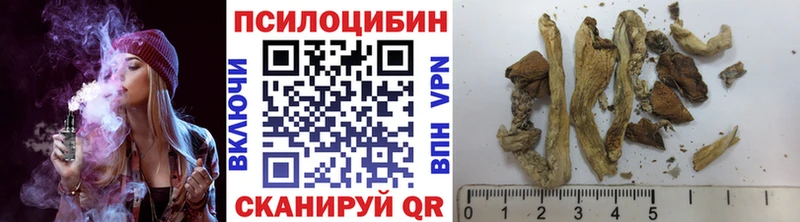 Купить Клин Псилоцибиновые грибы MAGIC MUSHROOMS