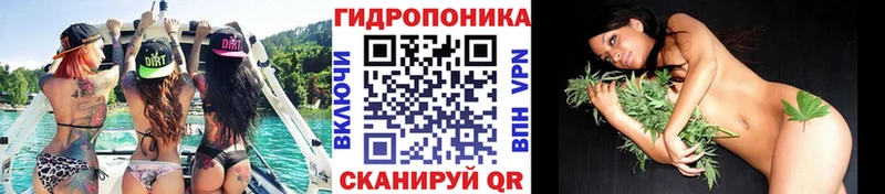 Купить где  Клин  Каннабис ГИДРОПОН 